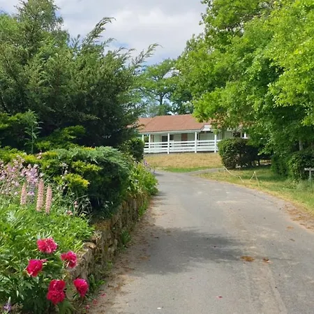 7 Chalet Mimosa Blavignac